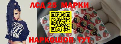 mdpv Краснознаменск