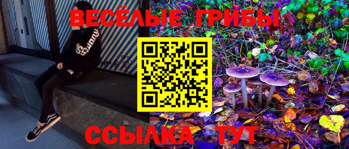 Галлюциногенные грибы мухоморы  Вход с VPN  наркота  Канаш 
