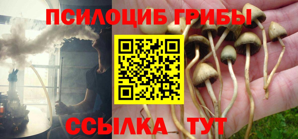 Галлюциногенные грибы Magic Shrooms Канаш